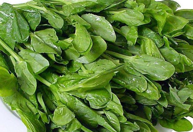 吃什么食物可以滋养卵巢子宫,滋养子宫的饮食