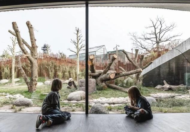 外国人为什么这么喜欢大熊猫呢,外国人究竟有多爱大熊猫