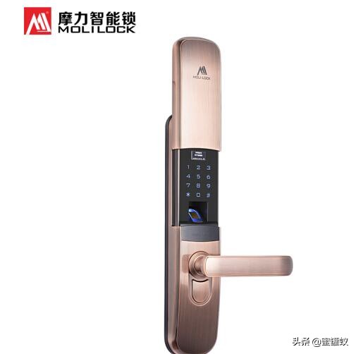 十大指纹锁品牌智能锁排行榜,防盗门指纹智能锁十大名牌
