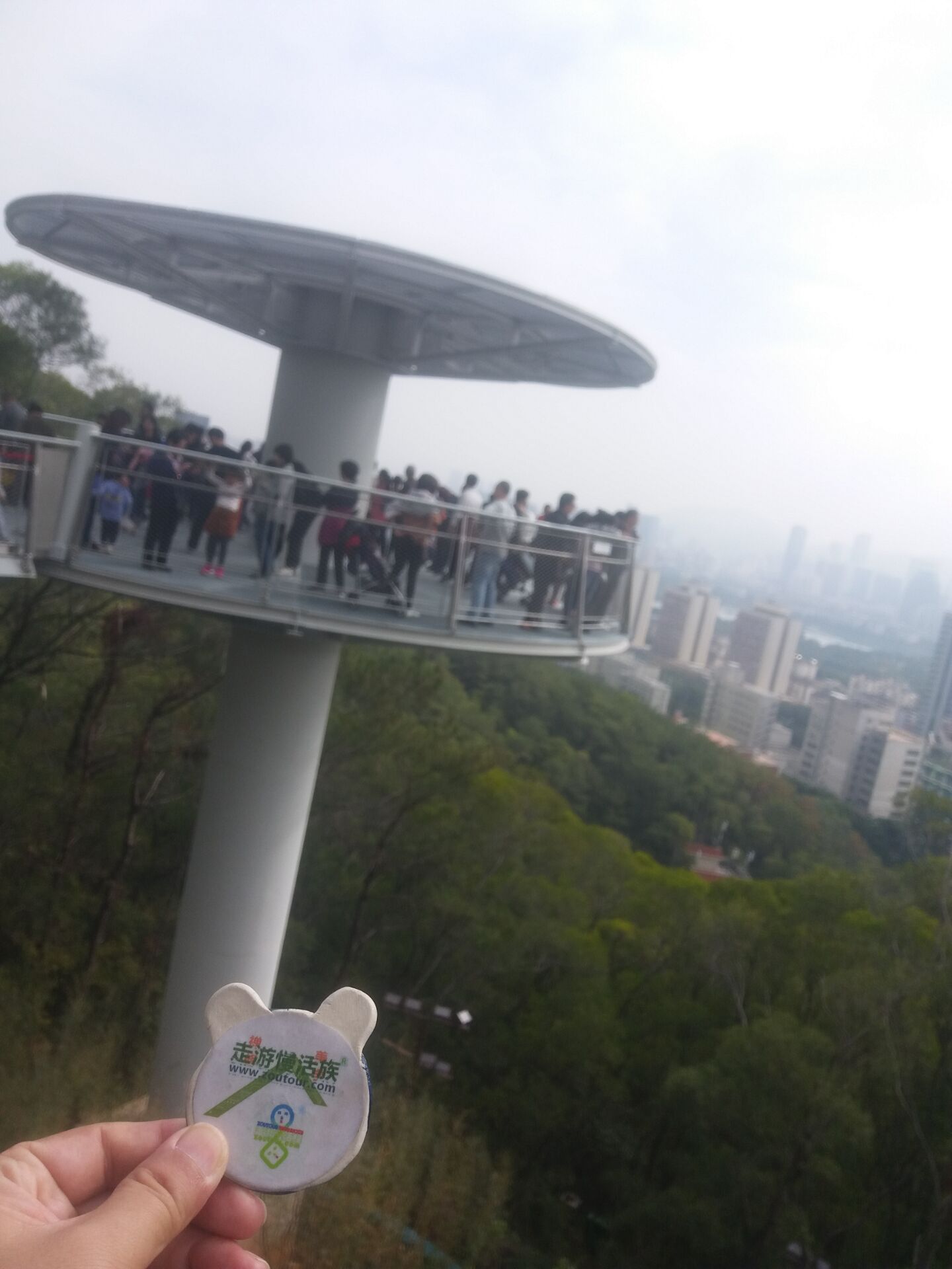 大益鼠年生肖饼大全,大益鼠饼茶叶