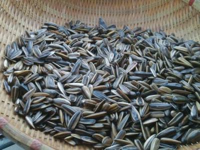 年货你都备齐了吗？除了红包和食物，这些常用药物也可派上大用场