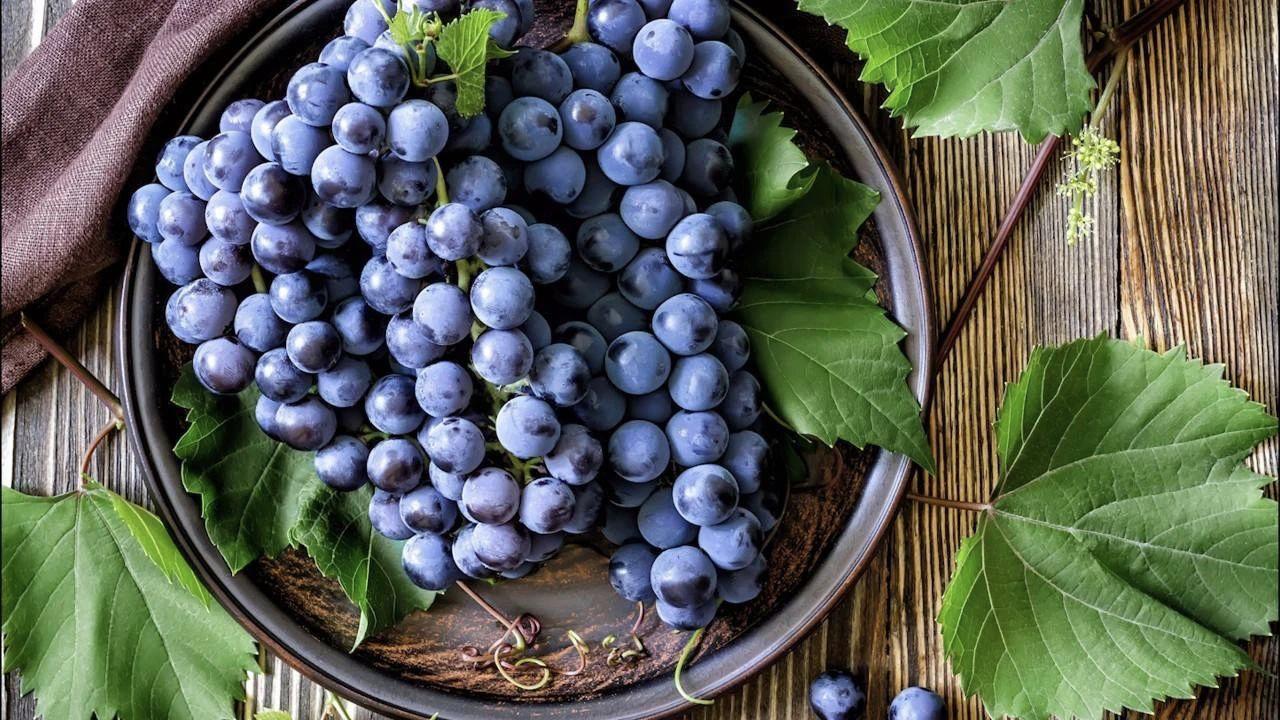 我猜你的双十一清单肯定有它,建议深思熟虑再购买