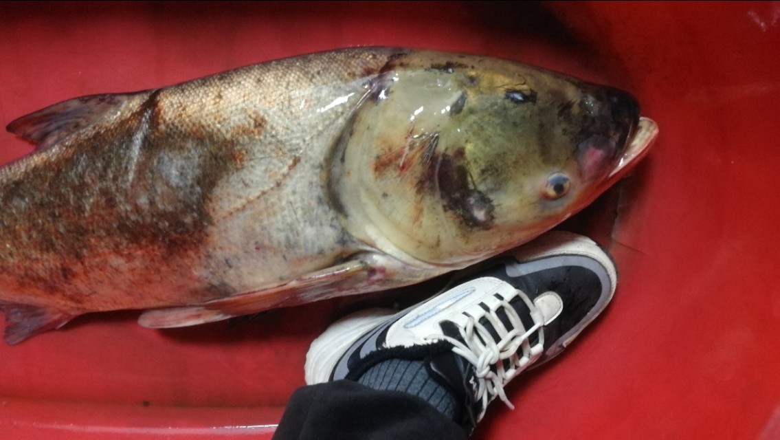 野钓好用的小配件推荐,钓鱼最实用的钓组配件