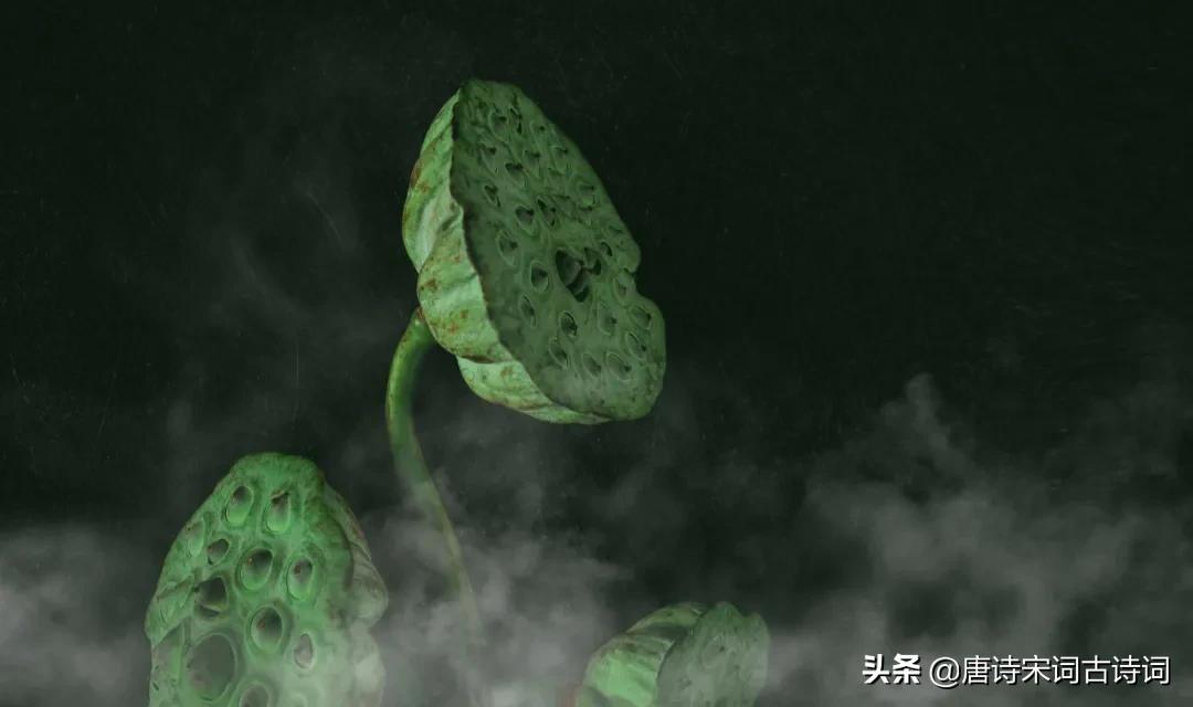 他是*国亡**之君,又是词坛帝王