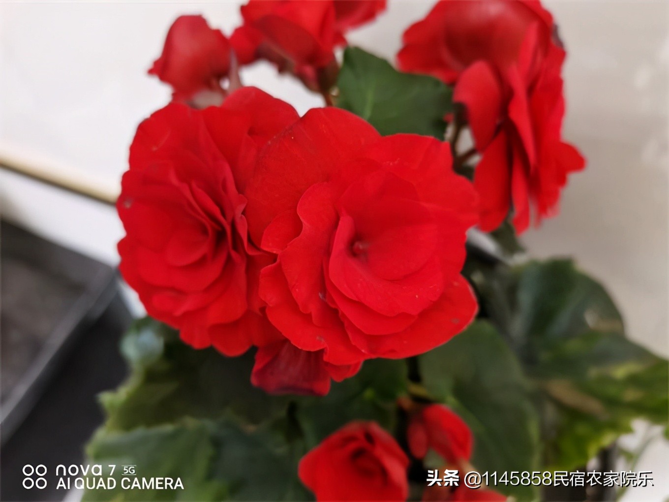 南戴河黄金海岸10人住的民宿,南戴河两室一厅民宿推荐