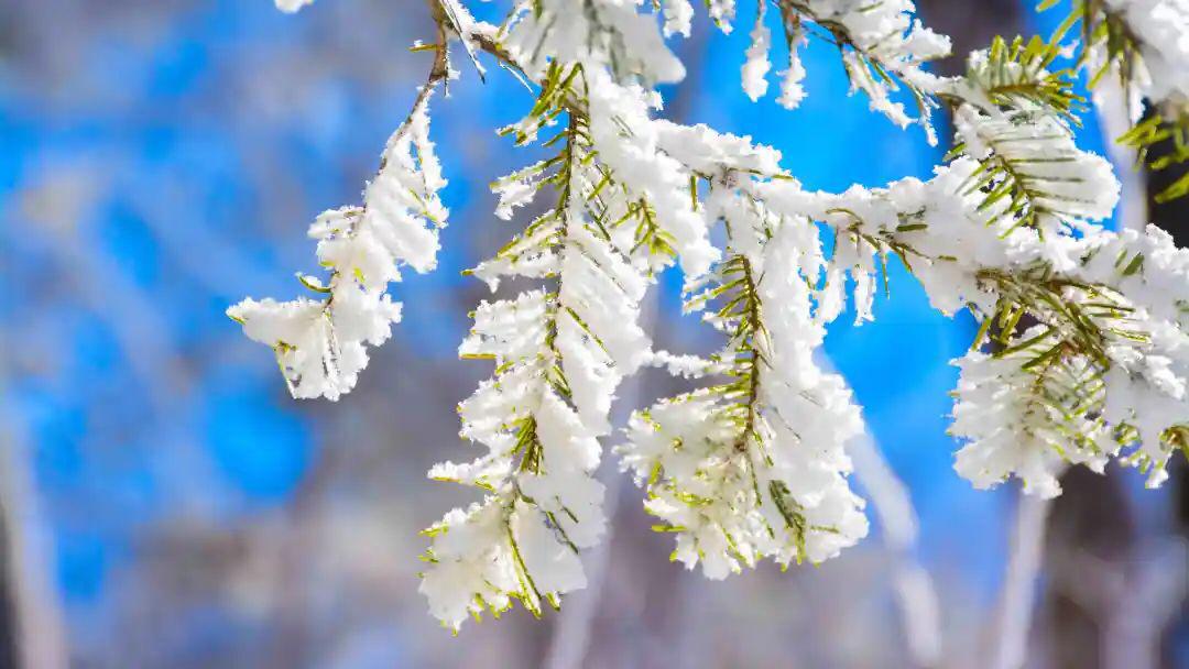 鬼谷子大智慧装傻,鬼谷子人生低谷时三句话