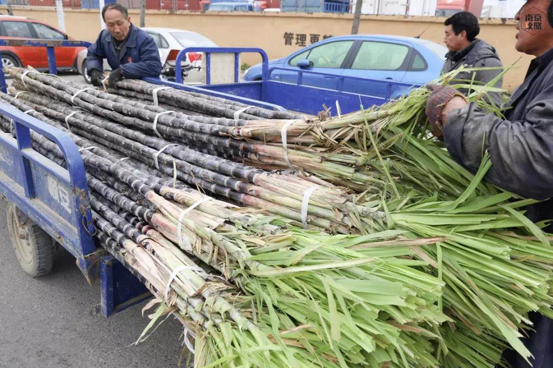 众彩物流公司年货,众彩物流年货大集
