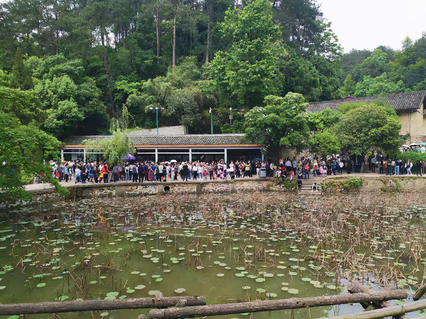 韶山匆匆管中窥（2019.7）