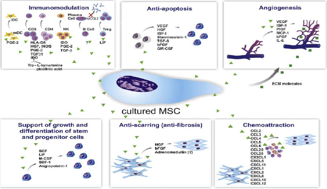 安倍得了溃疡性结肠炎吗,安倍结肠炎