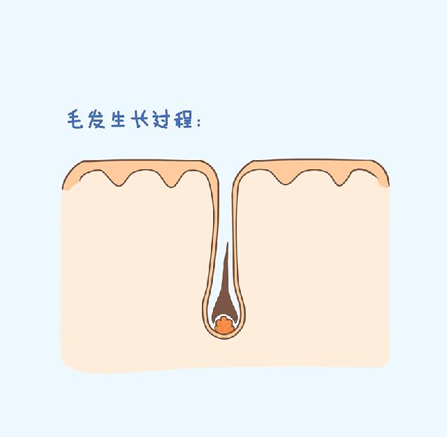 戚薇袁咏仪推荐的洗发水,袁咏仪推荐好用洗发水