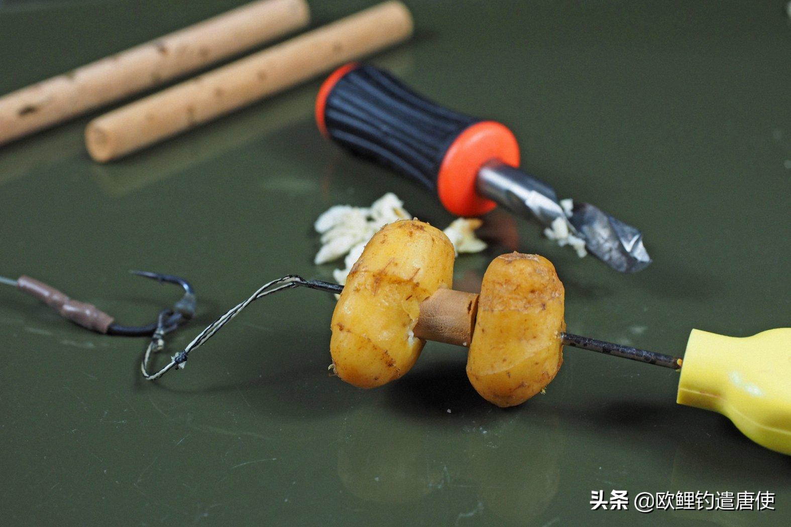 话说欧鲤钓之科学篇,欧鲤钓知识讲解