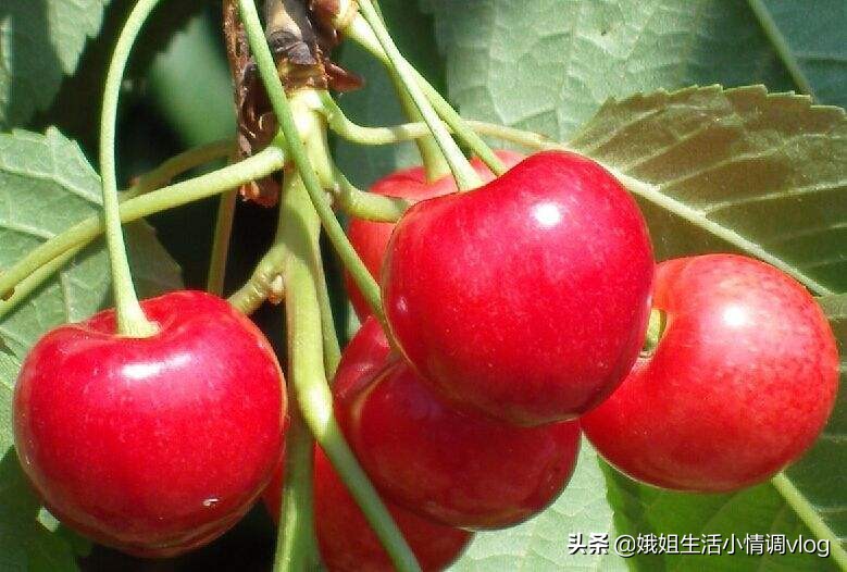 陕西眉县撤县最新消息,眉县撤县设市最新信息