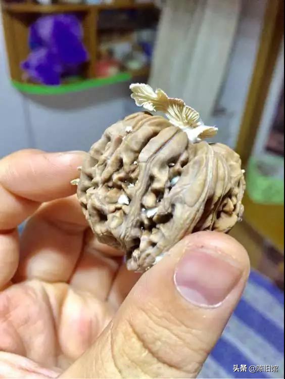 灏辫繖澶╂皵杩樻湁鏃ョ幆椋熷悧,灏辫繖澶╂皵