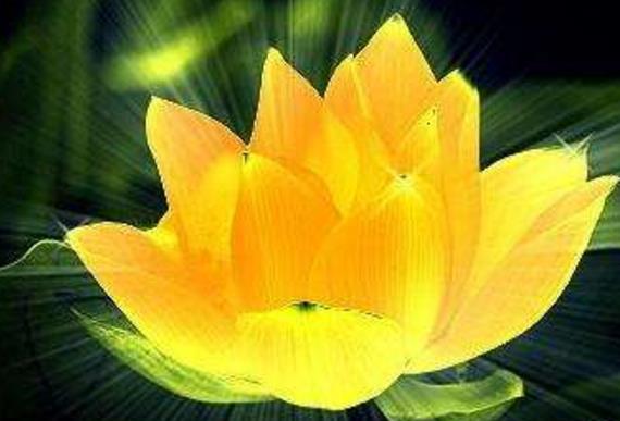 阿弥陀佛跟观音菩萨是什么关系,佛教阿弥陀佛和观音菩萨谁大