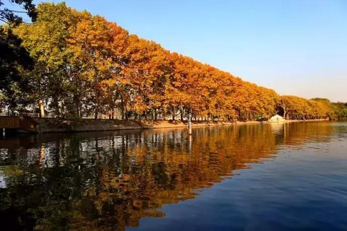 身份证410、411、412开头的,去了郑州就等于去了全世界