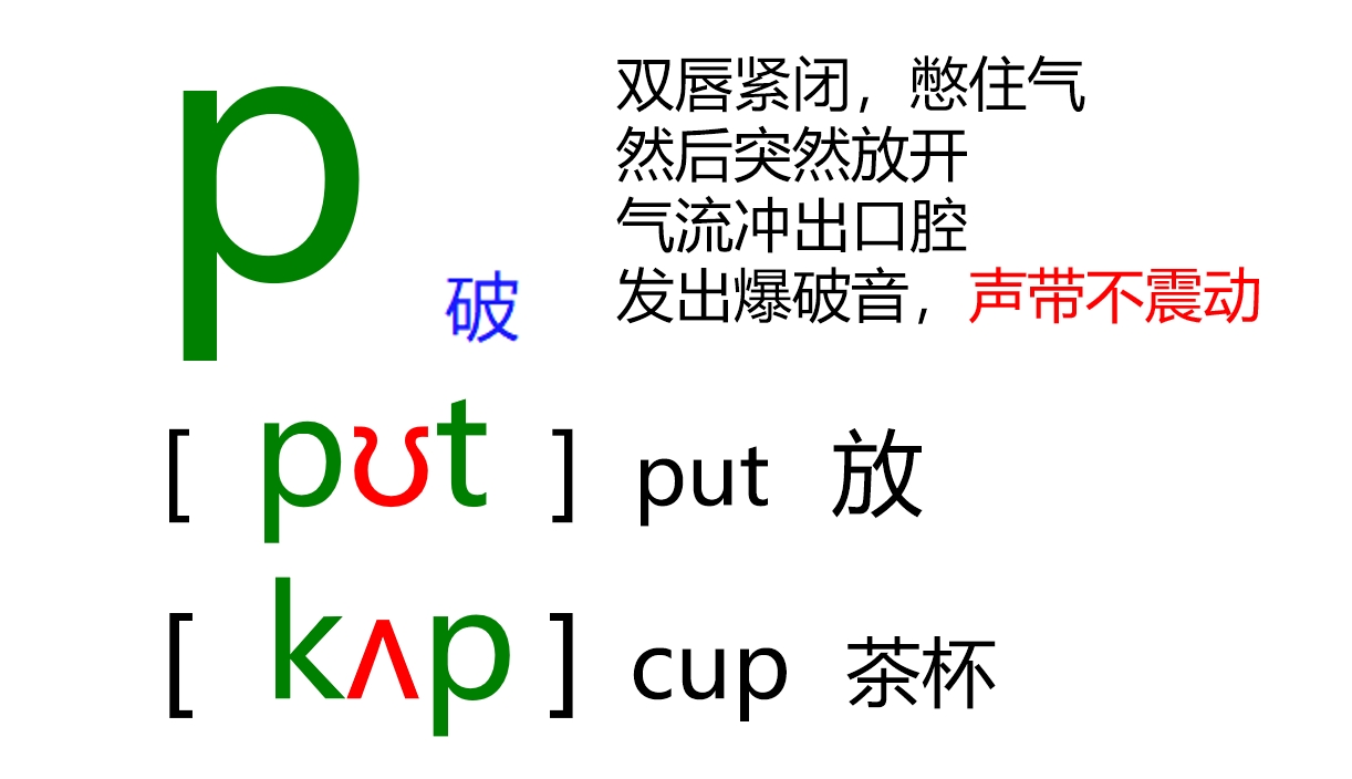 48个音标全套卡片作用,英语音标卡片48个正确发音嘴型