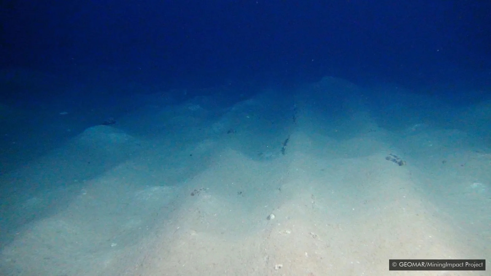 海底5000米发现神秘史前怪物,海底发现5500米的生物