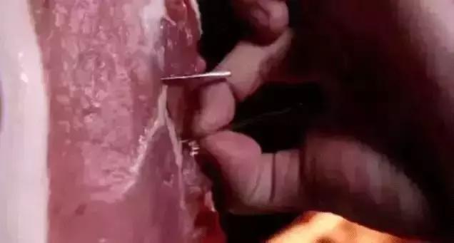 当心触电玩具,儿童防触电玩具