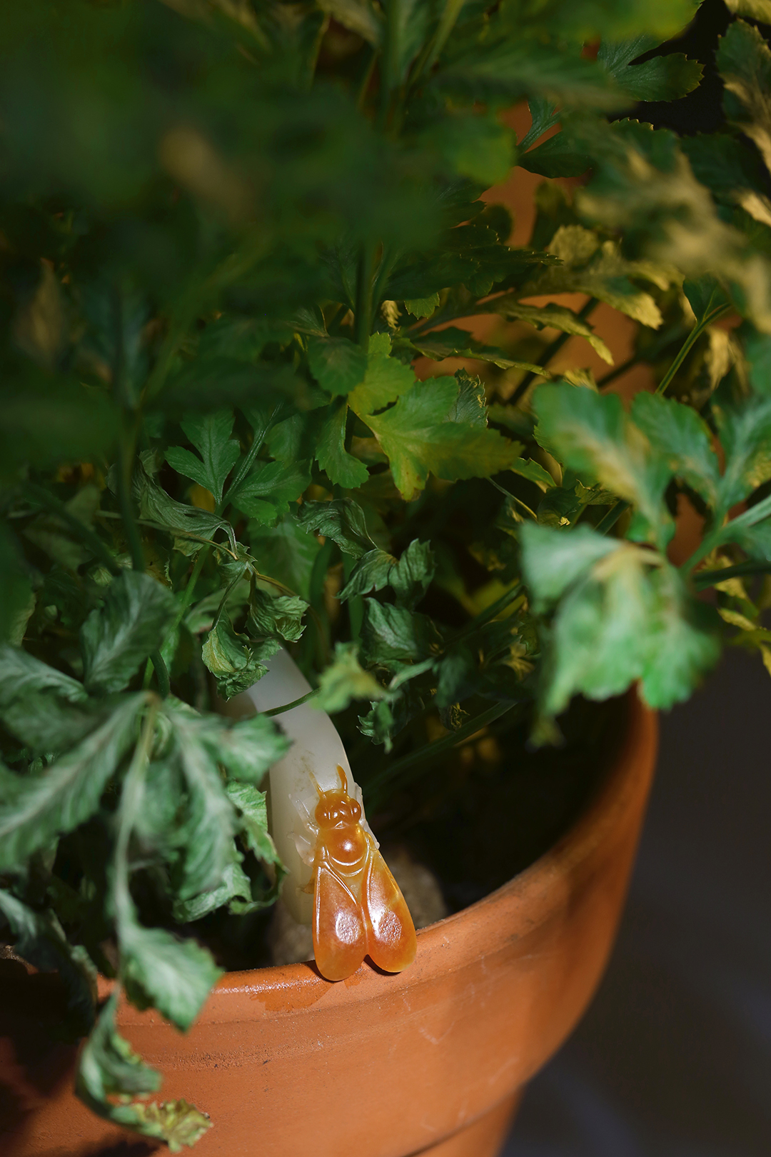 孤品和田玉雕,和田玉雕刻小蜜蜂