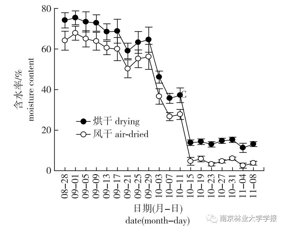 无患子果实视频,无患子成熟图