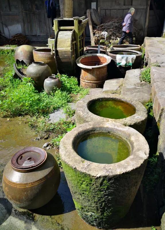 手拍世界微信公众号,手拍世界完整版视频