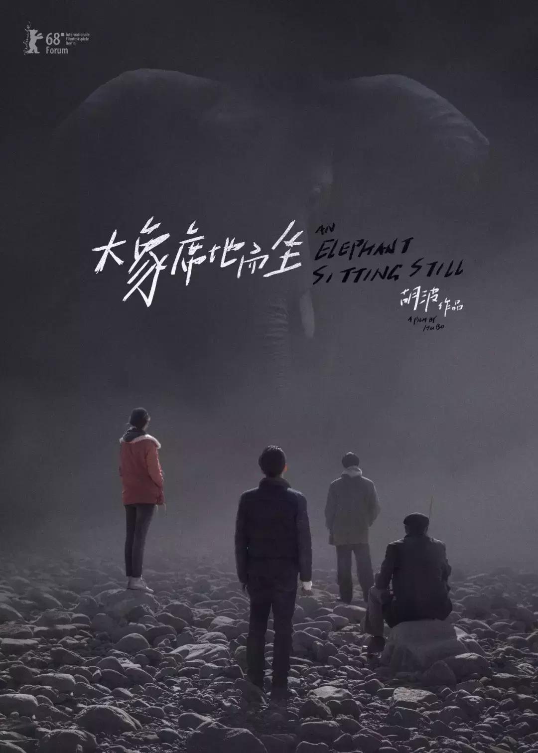 大象席地而坐入选金马奖视频,大象席地而坐金马奖领奖感言