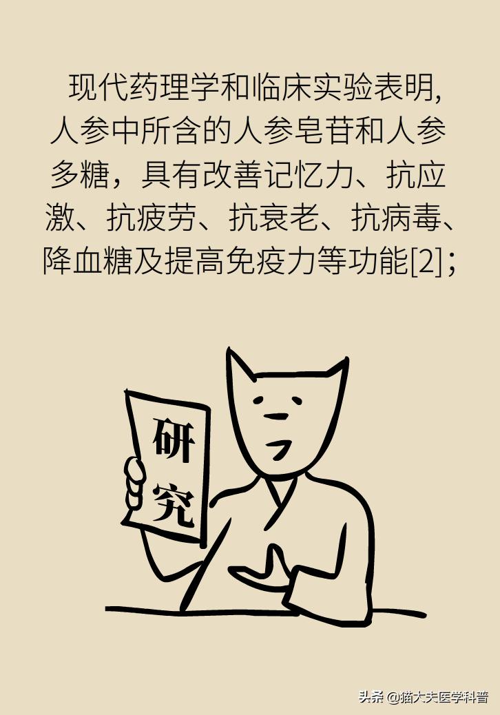 人参西洋参党参红参太子参的区别,人参红参太子参党参西洋参的区别