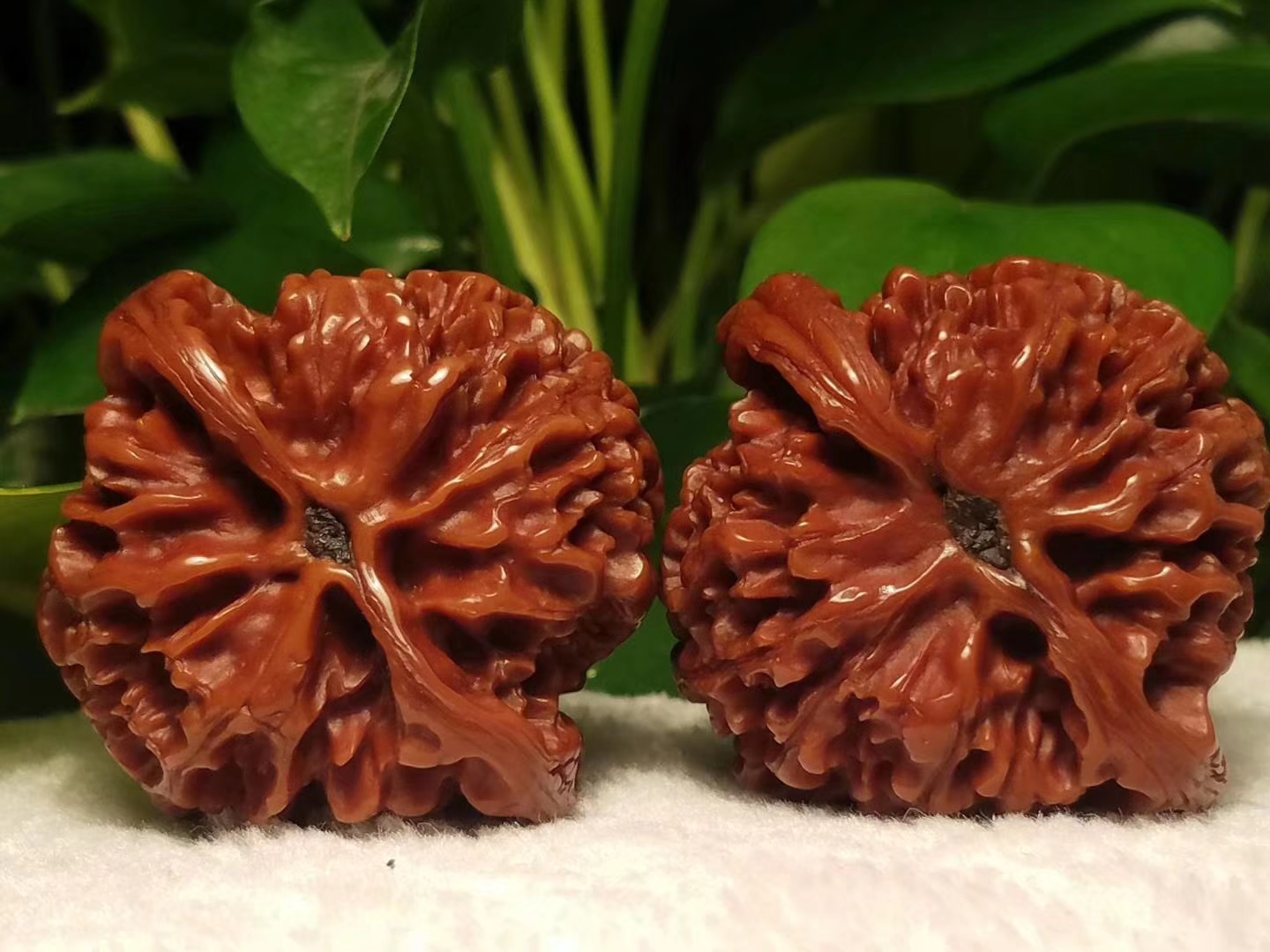 文玩中的四不玩,文玩核桃怎样算是盘好了