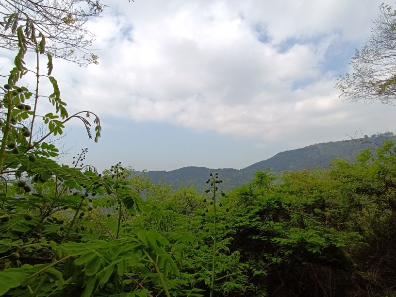 苏州第一高峰穹窿山,苏州最高的山穹窿在哪里