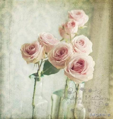 海子经典语录你说你很孤独,你说你很孤独海子原文