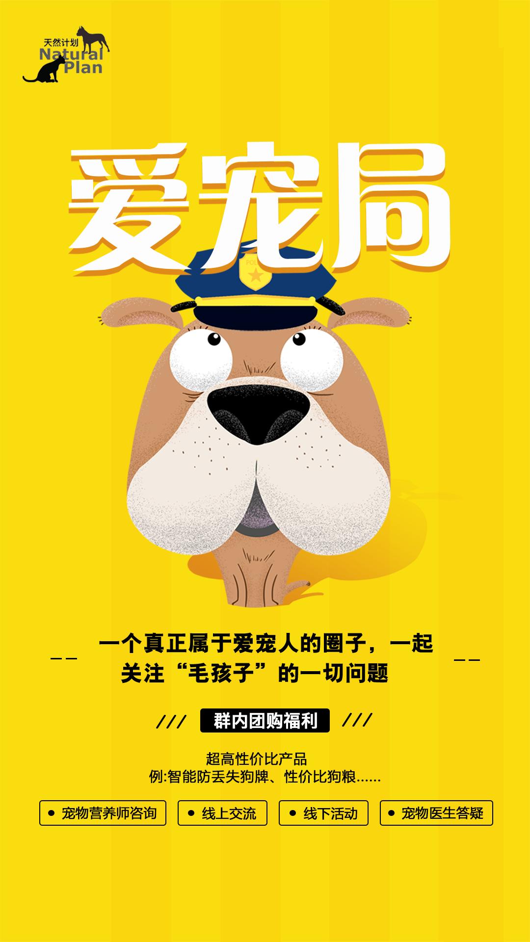 宠物毛怎么梳成蓬松的样子呢,如何帮宠物梳毛教程图解