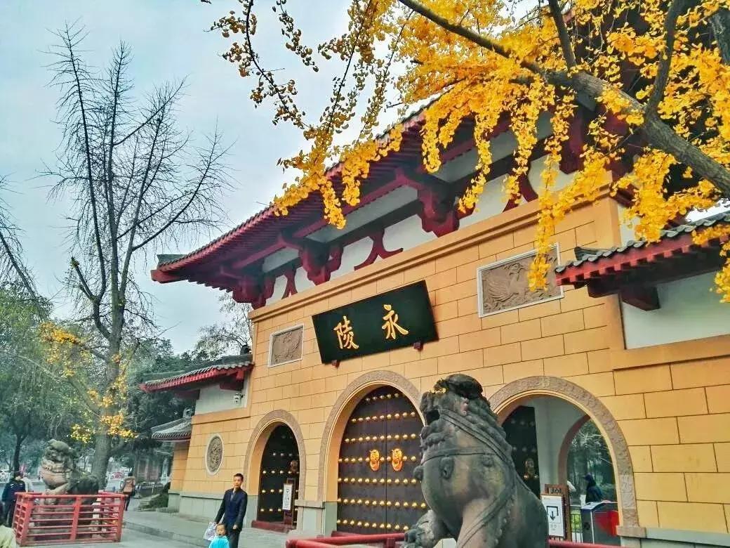 元旦去哪里玩视频,元旦适合去哪玩