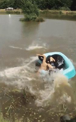 鼻涕眼泪的搞笑图片,一把眼泪一把鼻涕的搞笑图片