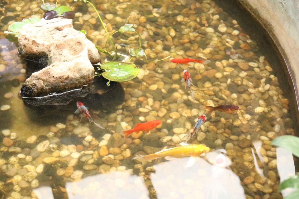 沐春简历,沐春大学