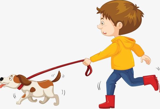 不遛狗会不会导致咬人,不遛狗对狗的影响大么