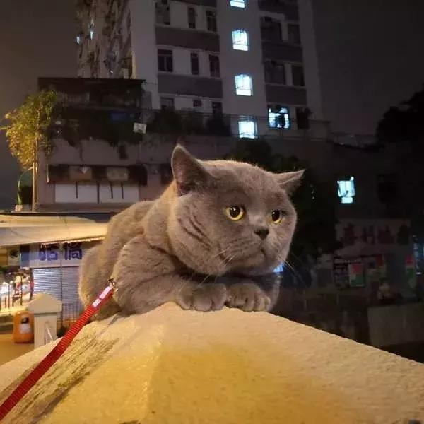 香港这家便利店的店长,靠着腮帮子走红了