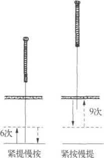三衢杨氏补泻(十二字分次第手法及歌)
