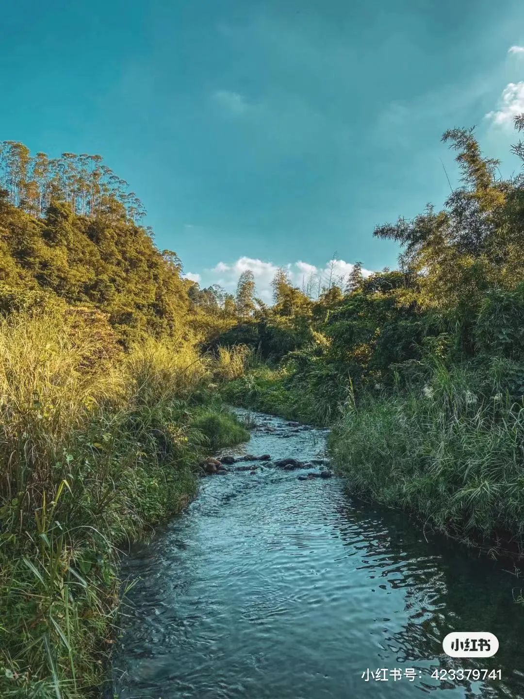 吴彦祖拍的劲爆电影,吴彦祖最新片