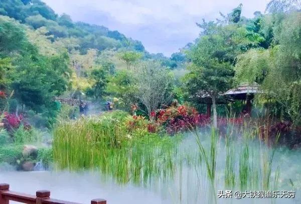 小杂鱼闹窝一招搞定,对付小杂鱼闹窝的绝招