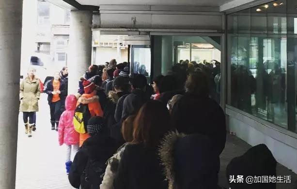 多伦多图书馆清仓特卖啦！1万册图书每本$0.5起（华人淘书指南）