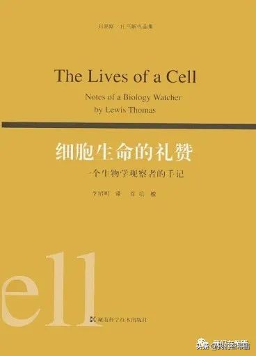 希腊已经确诊三例了，如何让宅在家里的生活变的更有意义？