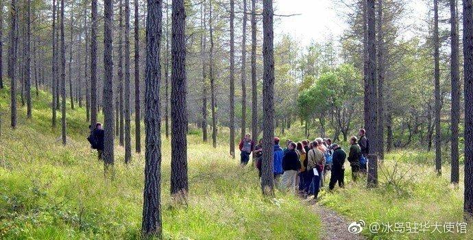 尼姑组团结婚，鬼子进村？年度沙雕谣言合集，笑出猪叫~