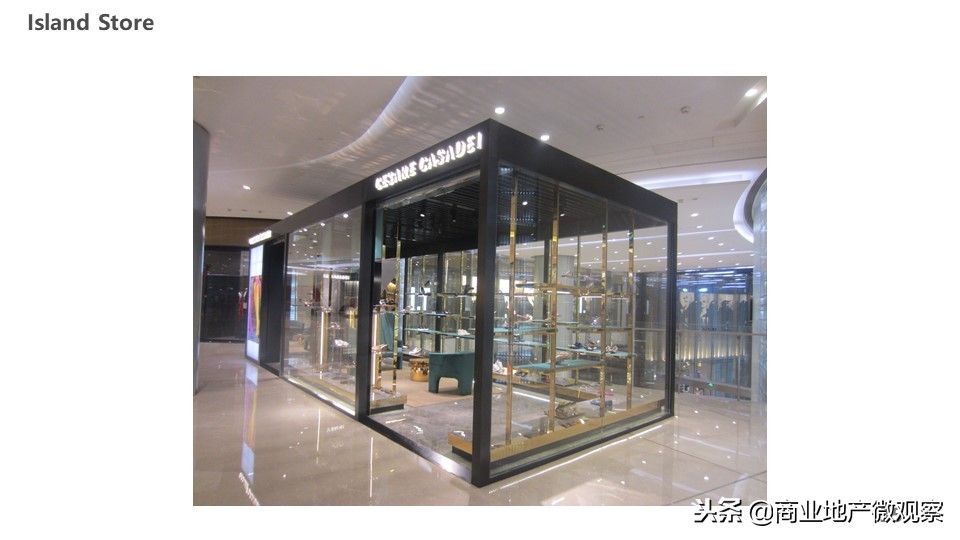 在成都看ifs熊猫,成都ifs上的爬墙大熊猫