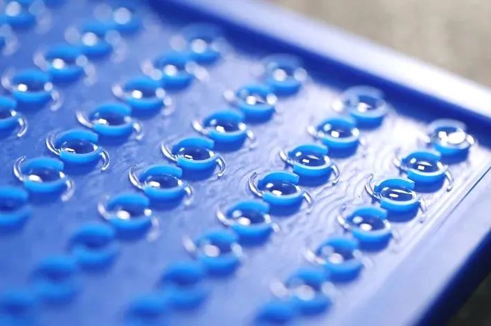 小晶体,大视界这家企业为无数患者带来光明