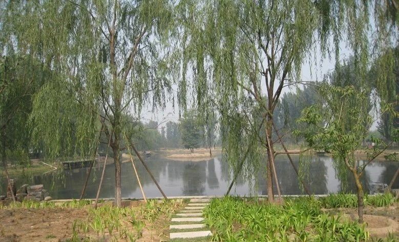 家乡的水塘,家乡的水塘作文400字