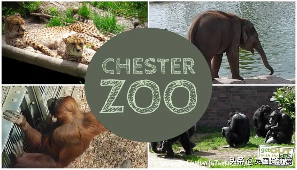 全球十大最受欢迎的野生动物园,伦敦十大动物园