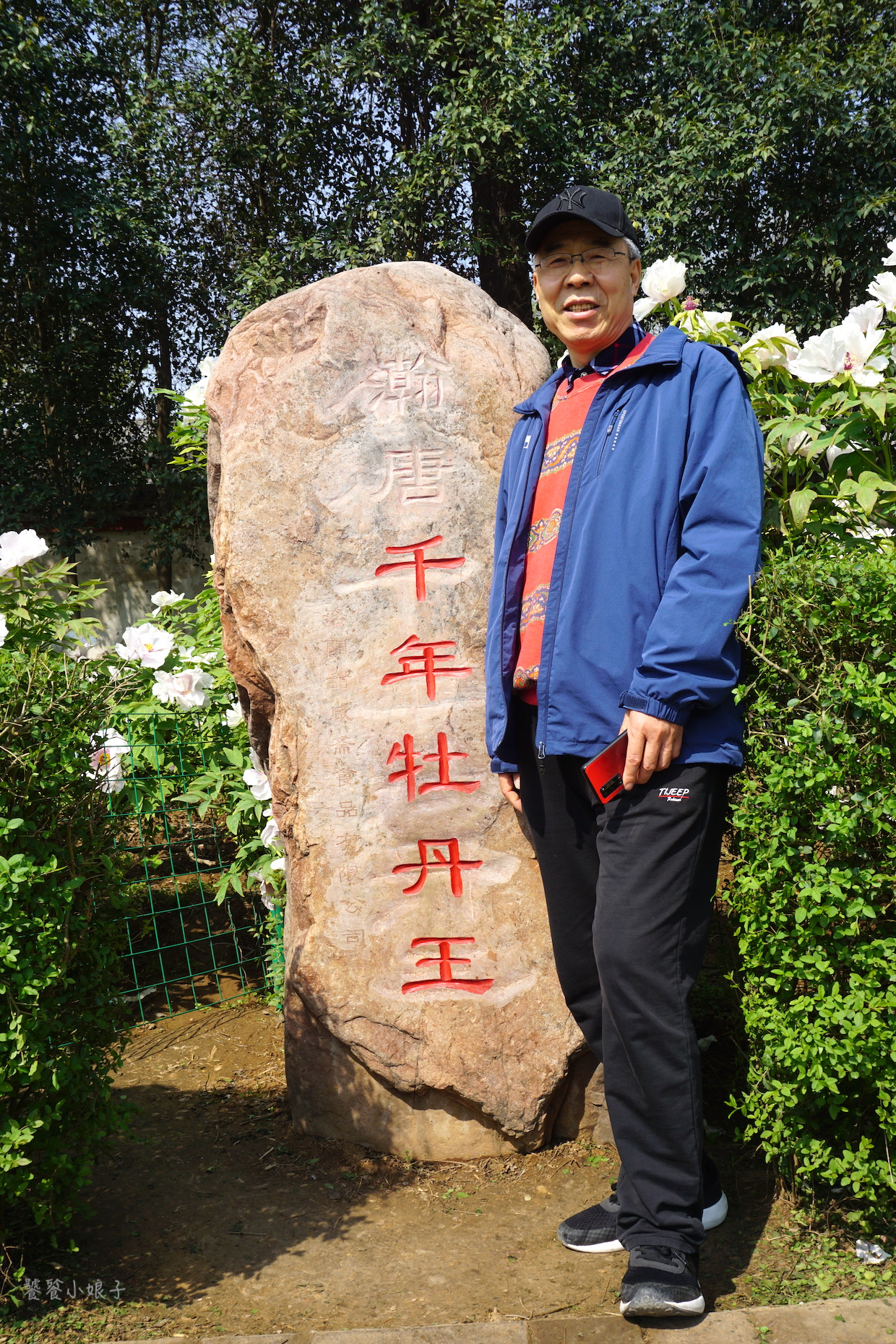 自驾游去洛阳看牡丹攻略,谁家牡丹甲天下