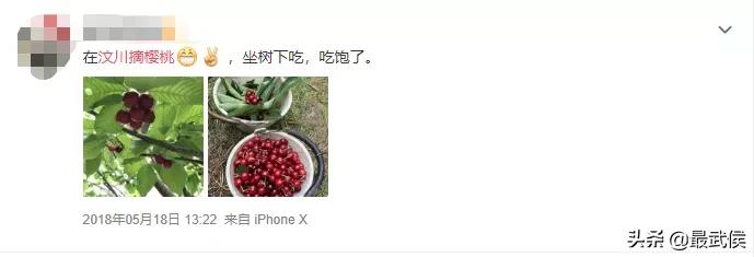 温度升高之前采摘樱桃,成都周边可摘樱桃的古镇