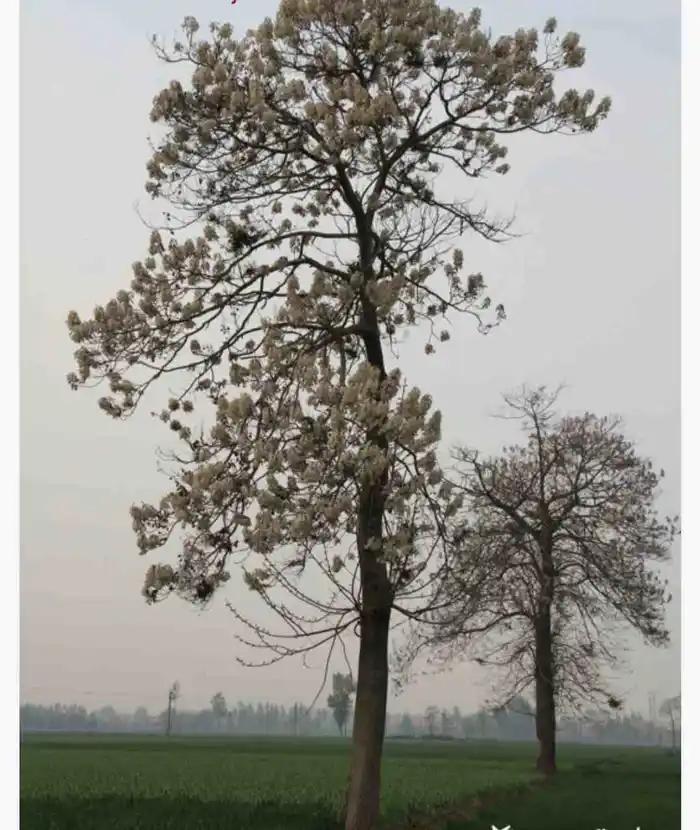 西山经解读,西山经图谱大全