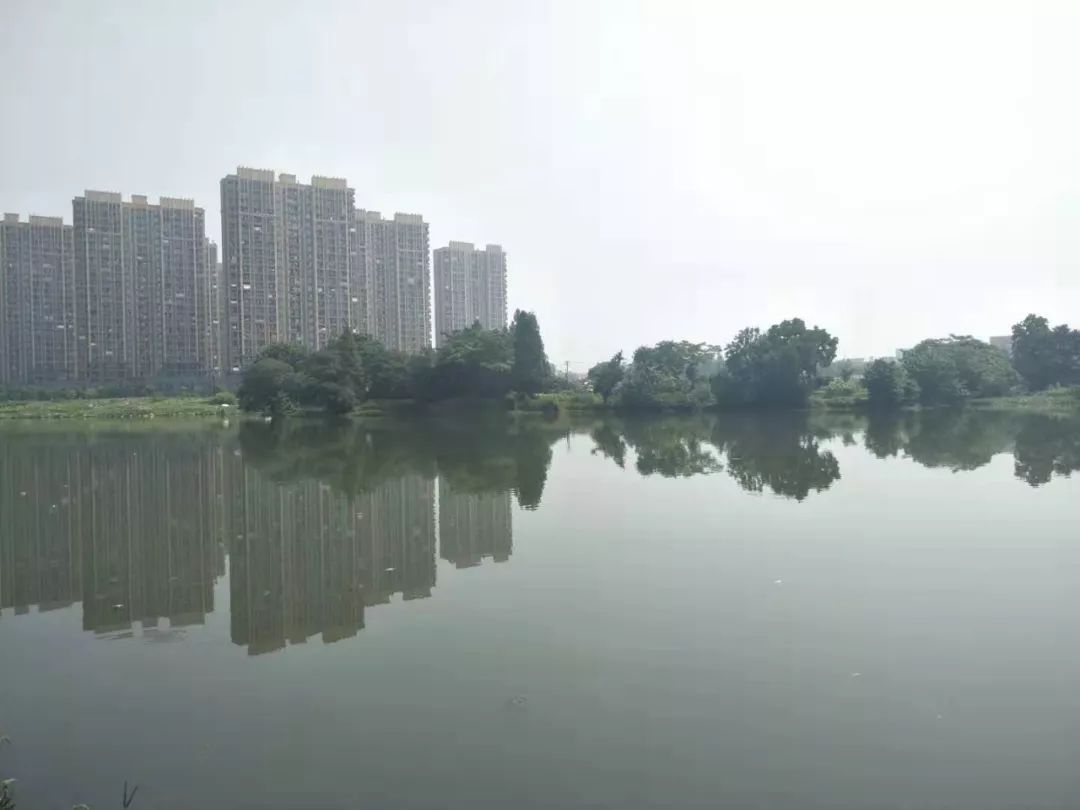 该不该摇海上海的灵魂拷问|选房指南No.130